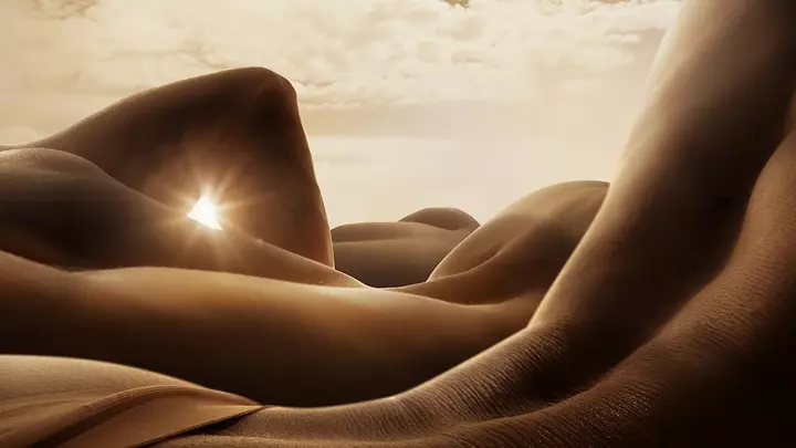 Body scapes showing skin of various bodies laying down with the setting sun in the background